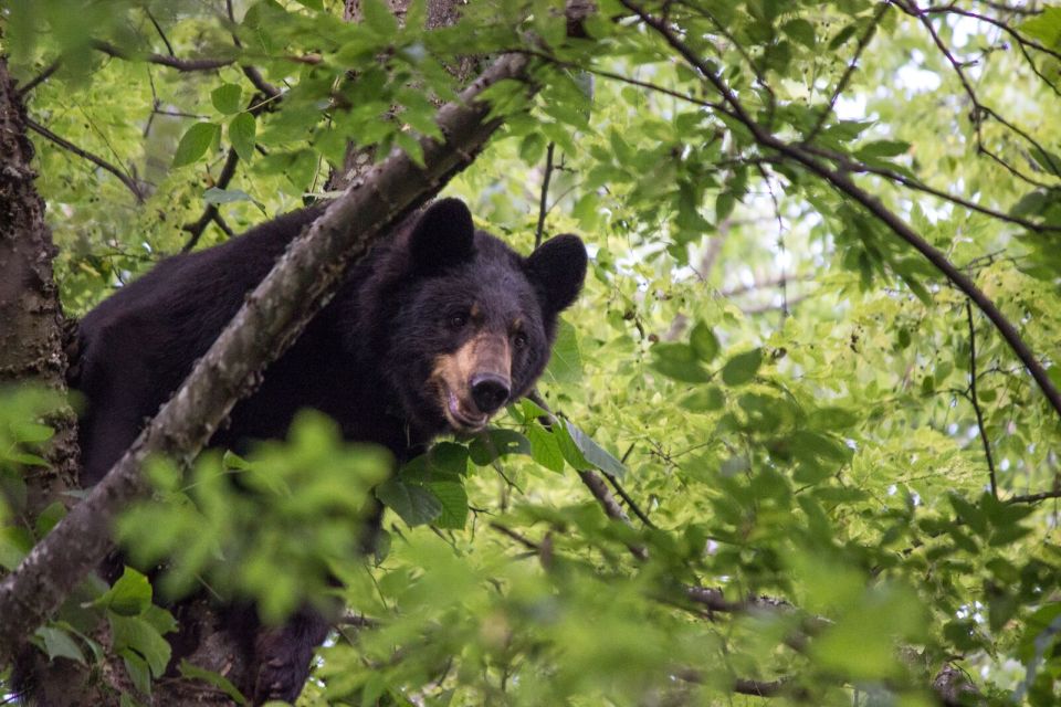 Alabama: Birmingham Area Family Fun Multi-Attraction Pass - Flexibility and Logistics