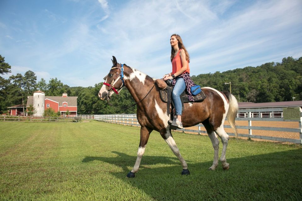 Alabama: Birmingham Area Multi-Attraction Pass - Recap