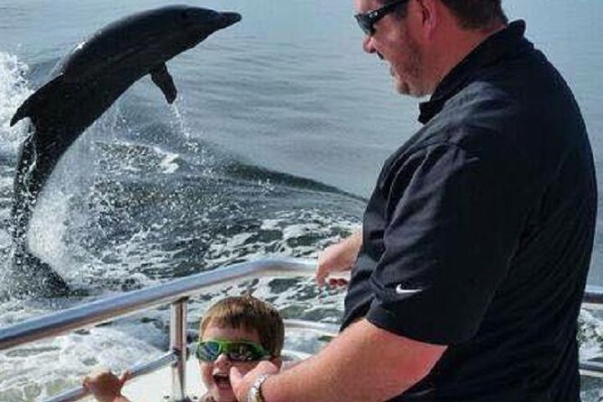 Alabama Gulf Coast Dolphin Cruise - Booking, Pricing, and Reservations
