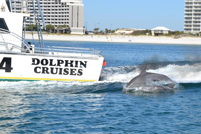 Alabama Gulf Coast Dolphin Cruise - Frequently Asked Questions