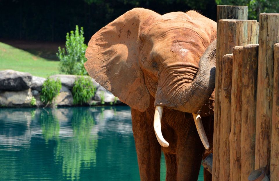 Alabama: Montgomery/Selma Area Multi-Attraction Pass - Important Visiting Notes
