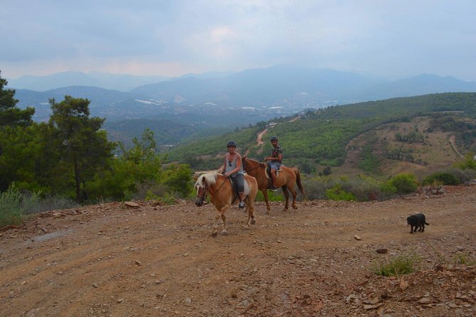 Alanya 3 Hour Horse Back Riding - Experience and Scenery