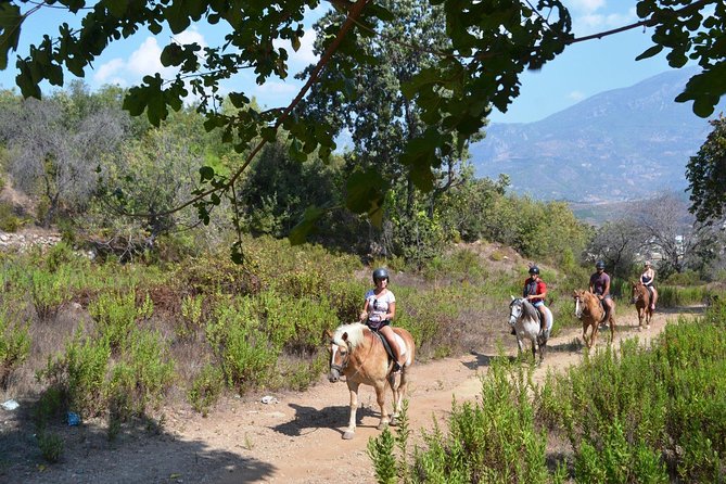 Alanya 3 Hour Horse Back Riding - Safety and Health Considerations