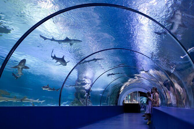 Alanya: Aquarium, Wax Museum, Snow World, Wild Park, XD Cinema - Analyzing the Value: Is It Worth It?