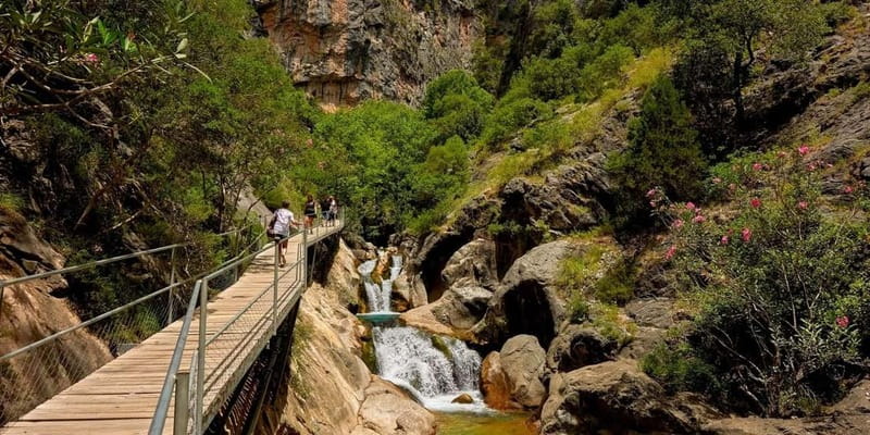 Alanya Day Tour: Dim Cave, River & Sapadere Falls - The Overall Value and Who Will Love This Tour