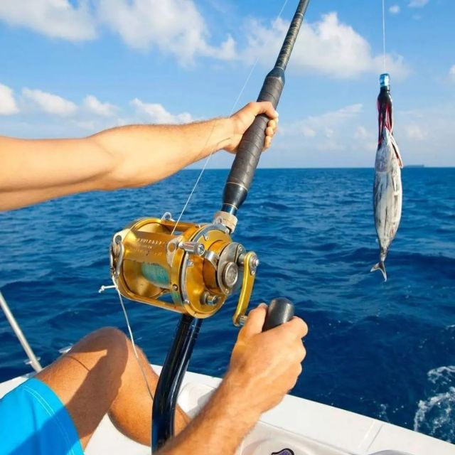 Alanya: Fishing Tour with Lunch and Hotel Transfers - Key Points