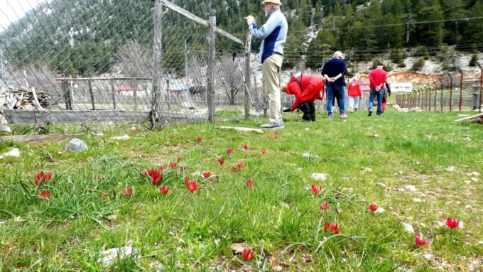 Alanya Hiking Tour - Frequently Asked Questions