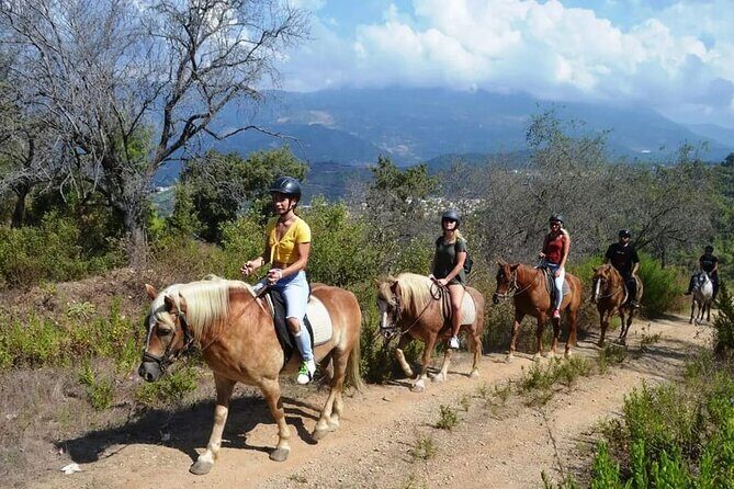Alanya Horse Riding Experience - An In-Depth Look at the Tour Itinerary