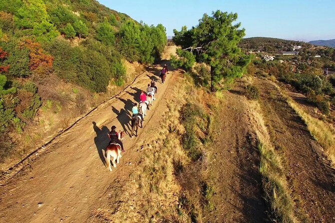 Alanya Horse Riding Experience - Pricing & Value