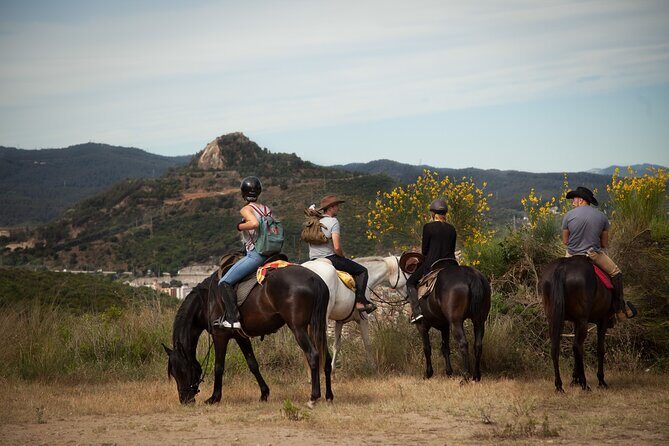 Alanya Horse Riding Experience - The Sum Up