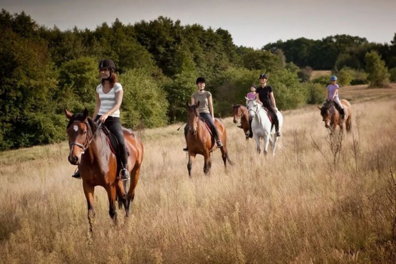 Alanya: Horse Riding Tour with Hotel Transfers - Key Points