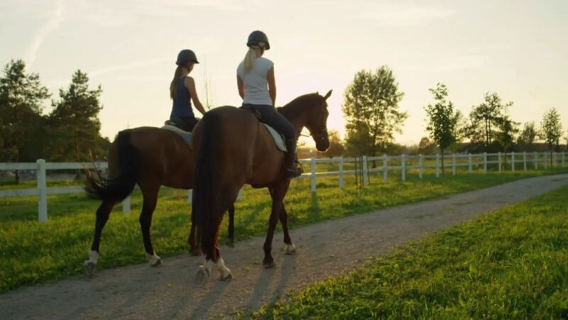 Alanya: Horse Riding Tour with Hotel Transfers - Price and Value