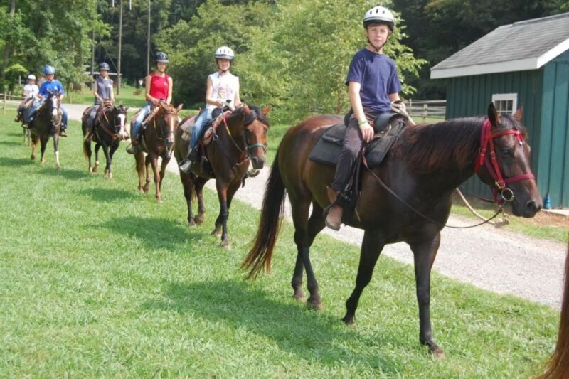 Alanya: Horse Riding Tour with Hotel Transfers - The Sum Up