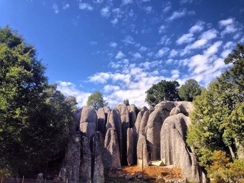 Alanya: Rafting Tour, With Zipline and Buggy Safari Options - Key Points