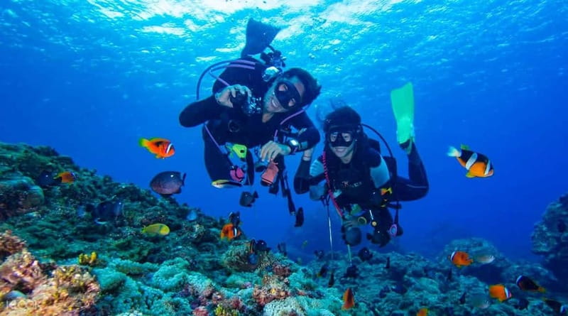 Alanya: Scuba Diving Adventure for Beginners & Professionals - Setting the Scene: What the Tour Offers