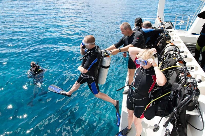Alanya: Scuba Diving Adventure for Beginners & Professionals - The Value Proposition