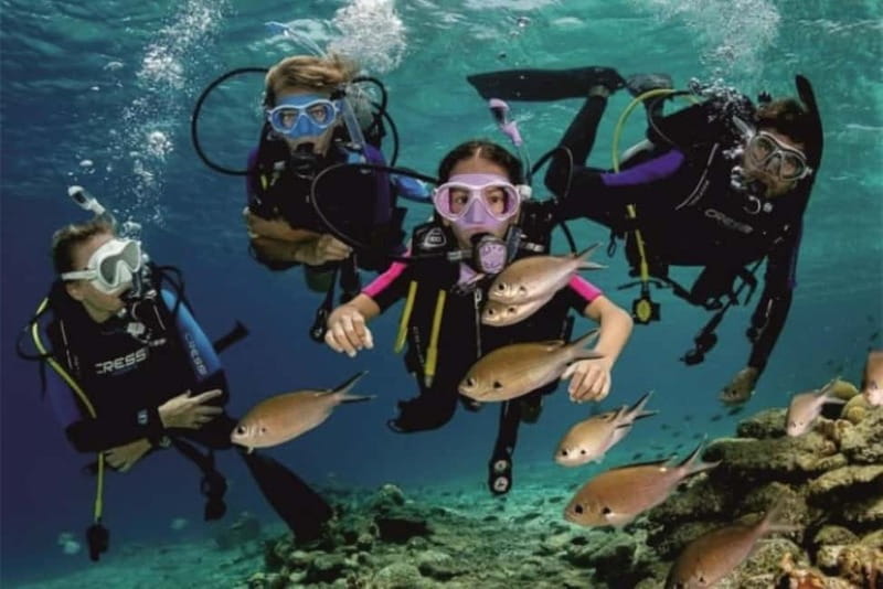 Alanya: Scuba Diving Adventure for Beginners & Professionals - The Authentic Experience
