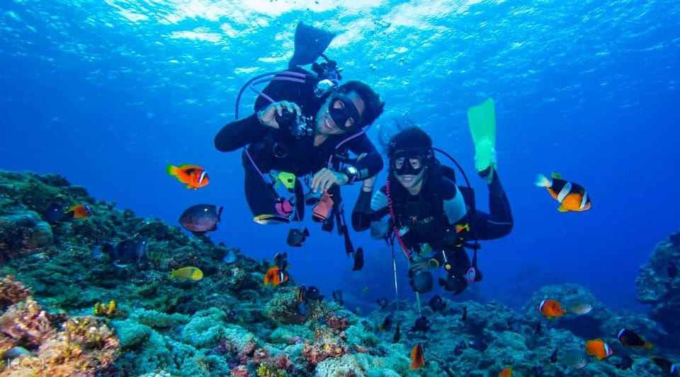 Alanya: Scuba Diving Adventure for Beginners & Professionals - Key Points
