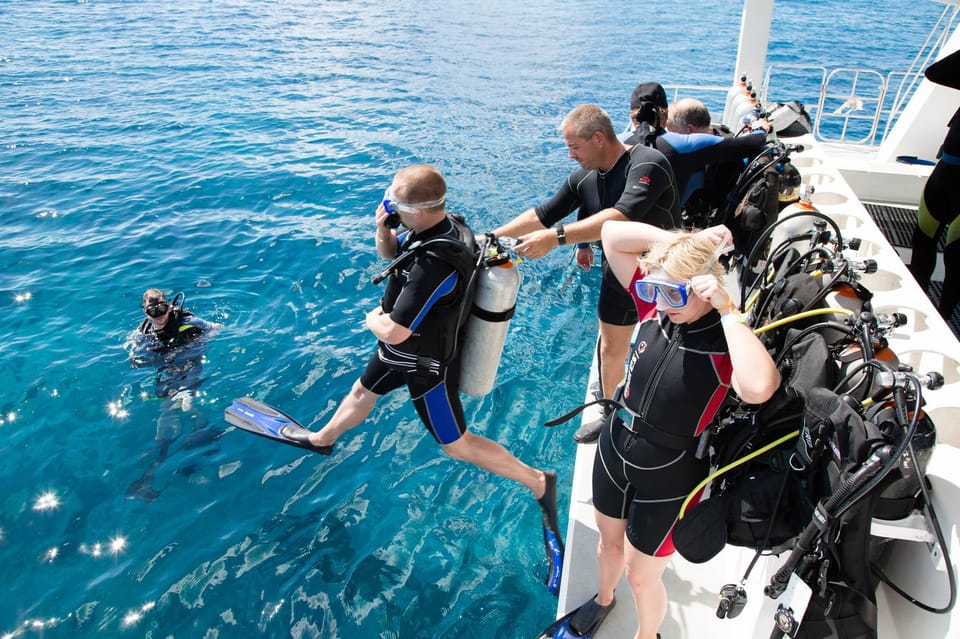 Alanya: Scuba Diving Adventure for Beginners & Professionals - What To Know Before You Book