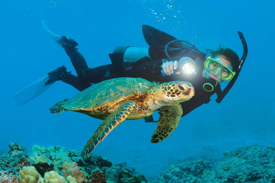 Alanya: Scuba Diving Adventure for Beginners & Professionals - Value for Money and Practical Considerations
