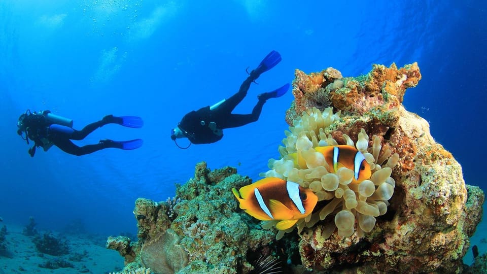 Alanya: Scuba Diving Adventure for Beginners & Professionals - Who Should Consider This Tour?