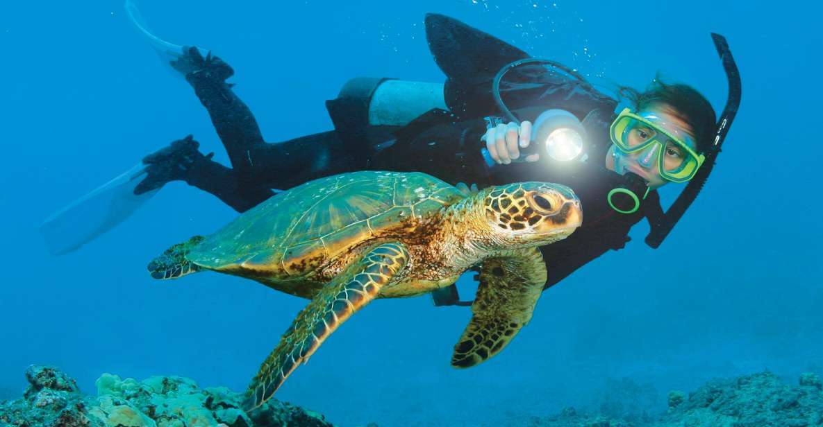 Alanya: Scuba Diving Adventure for Beginners & Professionals - Final Thoughts