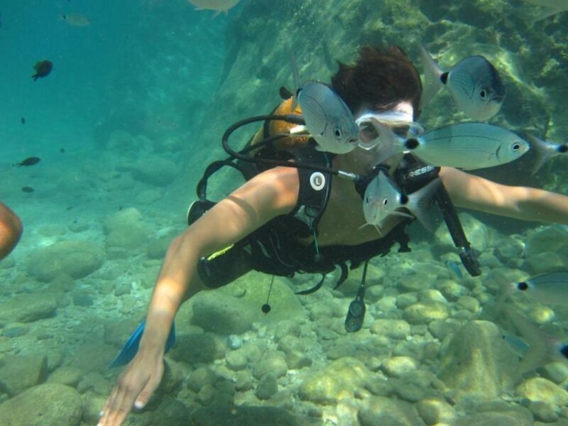 Alanya: Scuba Diving Experience with Lunch - An In-Depth Look at the Alanya Scuba Diving Tour