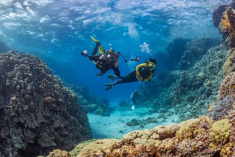 Alanya: Scuba Diving Tour with Lunch and Hotel Transfers - Key Points