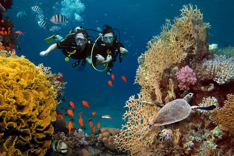 Alanya: Scuba Diving Tour with Lunch and Hotel Transfers - An In-Depth Look at the Tour Experience