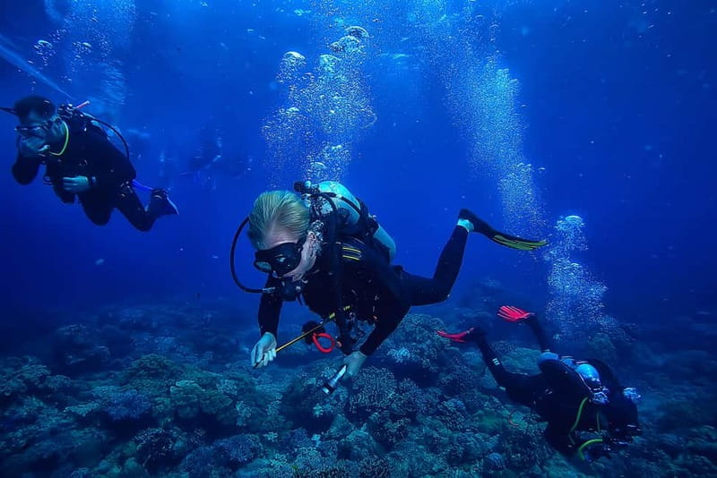 Alanya: Scuba Diving Tour with Lunch and Hotel Transfers - Pricing and Value