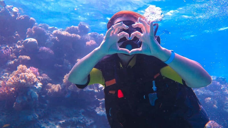 Alanya: Scuba Diving Tour with Lunch and Hotel Transfers - Who Will Love This Tour?