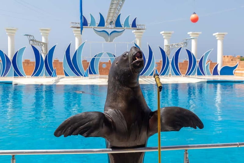 Alanya: Sealanya Dolphinpark Dolphin Show Tour - An Introduction to the Sealanya Dolphinpark Experience