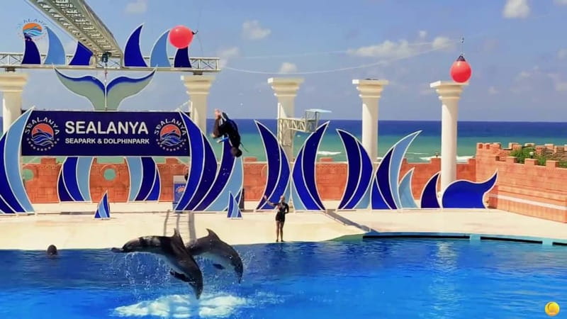 Alanya: Sealanya Dolphinpark Dolphin Show Tour - Who Will Enjoy This Tour?