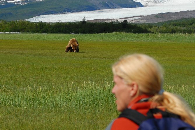 Alaska Bear-Viewing Day Trip From Homer - Tour Inclusions and Restrictions