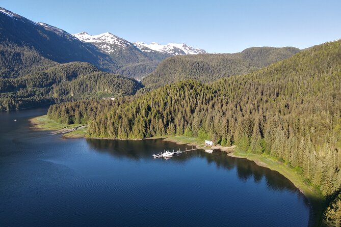 Alaska Bears and Silver Bay Homestead - Meeting and Pickup Details