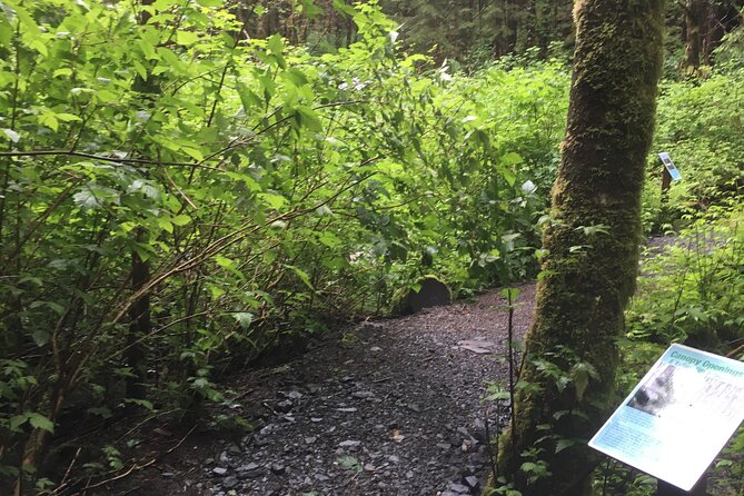 Alaska Bigfoot Adventures - Booking and Pricing