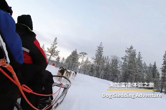 Alaska Dog Sled or ATV Ride in Fairbanks - Who Is This Tour Best For?