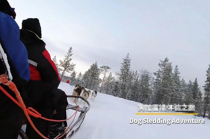 Alaska Dog Sled or ATV Ride in Fairbanks - FAQ