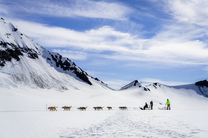 Alaska Helicopter and Glacier Dogsled Tour - SEWARD AREA - Sum Up