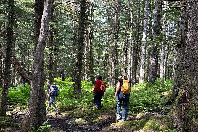 Alaska Nature Immersion: Forest Therapy Tour in Haines, Alaska - FAQ
