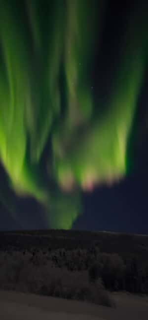 Alaska: Private Northern Lights Viewing Tour - The Itinerary: What to Expect