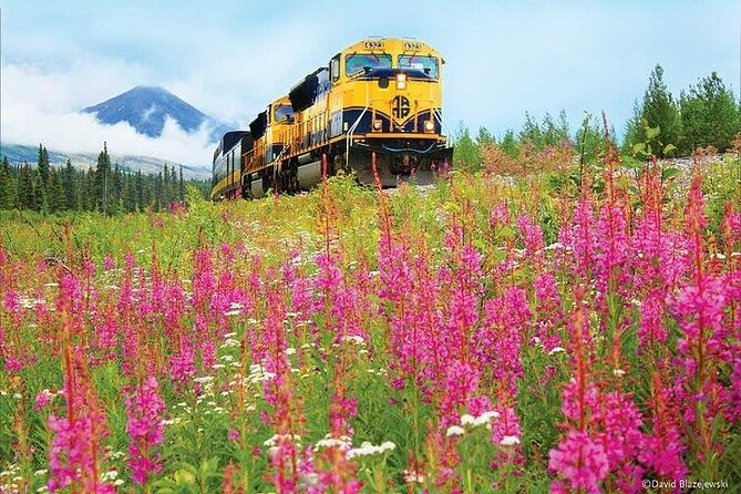 Alaska Railroad Denali to Fairbanks One Way - Meeting and Departure Details