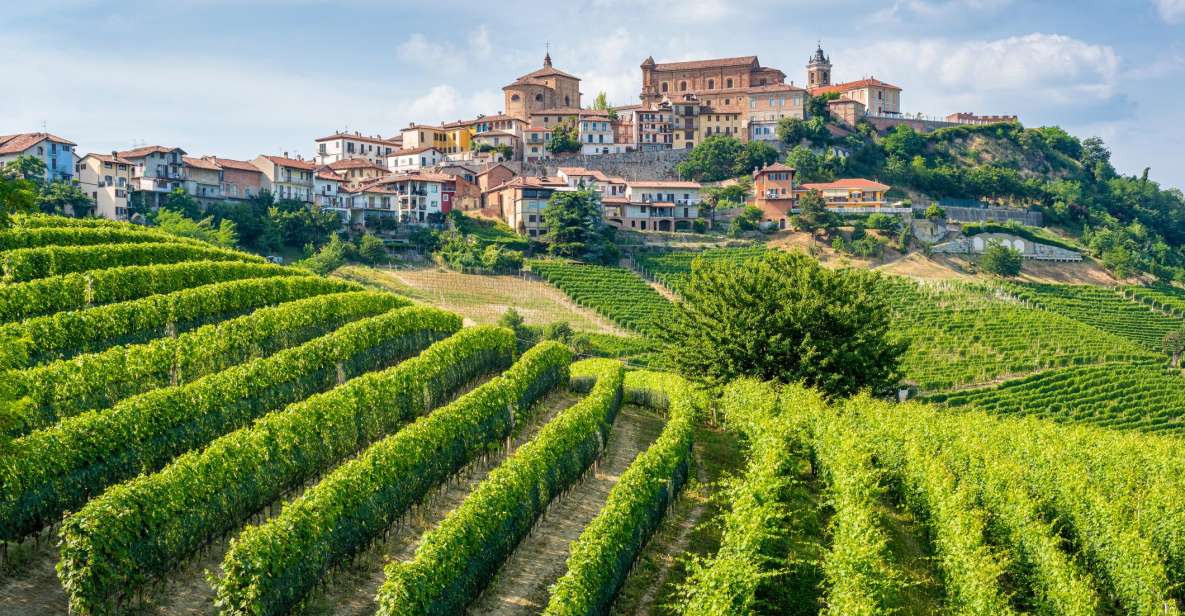 Alba: Barolo Castle, Alfieri Vineyards, and Truffle Lunch - Inclusions