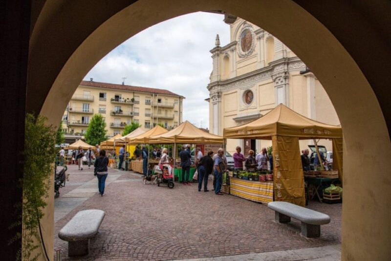 Alba: Historic Town Highlights Guided Walking Tour - Tour Experience and Reviews