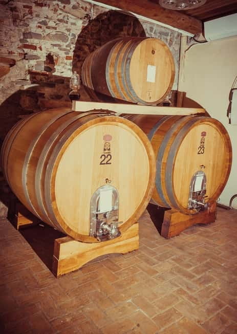 Alba: Wine Tasting and Tour with a Local Producer - Practical Details and Value