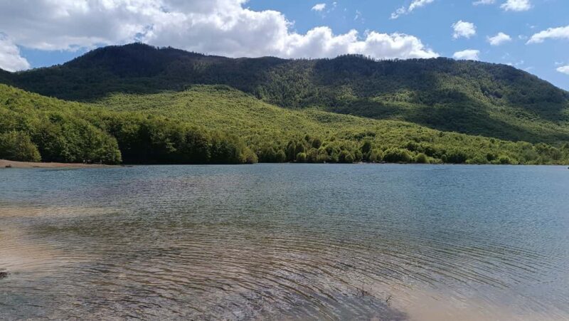 Albania: Culture in AI Development: Art Residency Project - A Closer Look at the Experience