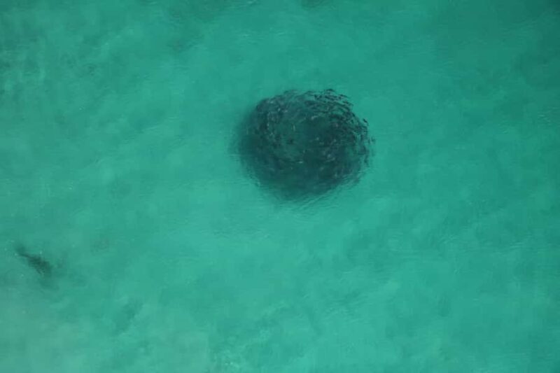 Albany: 20 min scenic helicopter flight - Why a helicopter ride over Albany is a worthwhile experience