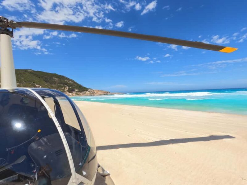 Albany: 60 min scenic helicopter flight - Who Will Love This Experience?