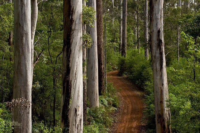 Albany Southwest Wilderness Day Tour - Fly From Perth - Authentic Experiences from Reviews