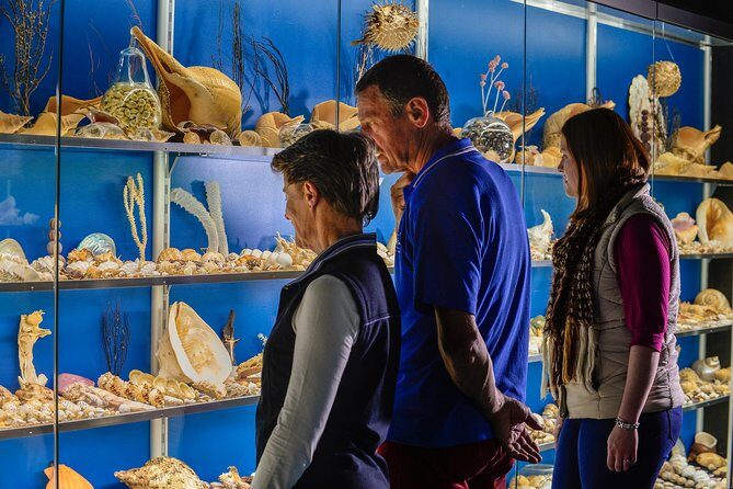 Albany's Historic Whaling Station Admission Ticket - A Detailed Look at What You Can Expect